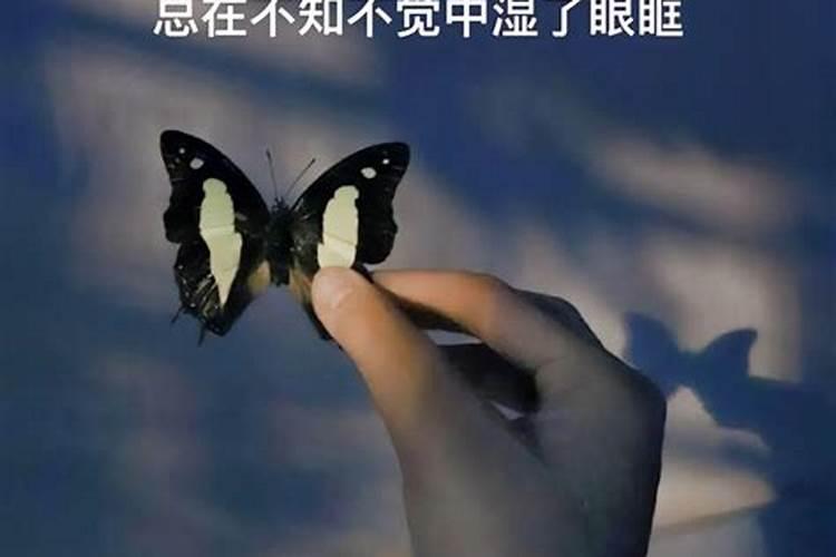 梦见妹妹口吐鲜血