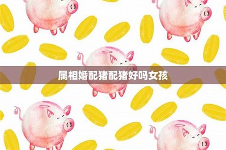 兔冲鸡用什么生肖化解