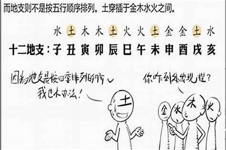 生肖马是什么属性