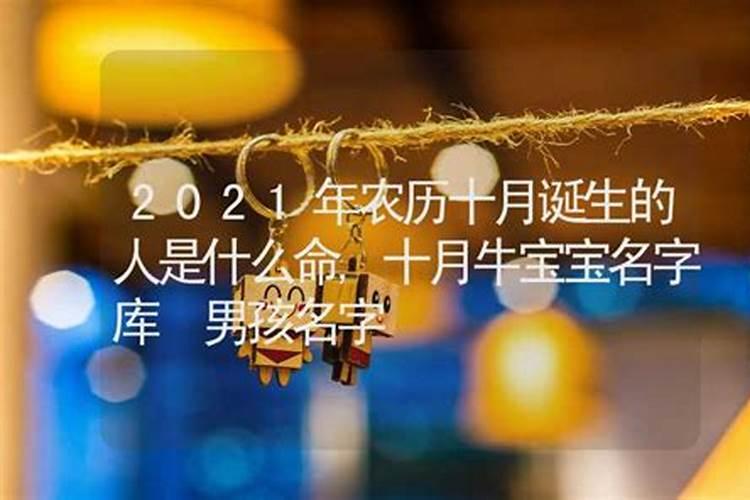 1969年属鸡2024年运势运程