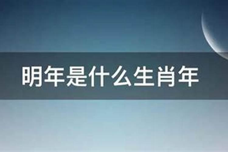 属羊人2021年5月3日运势