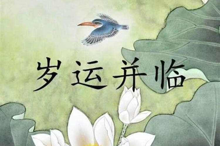 属相属鼠的今年多大