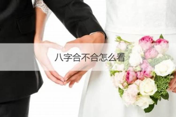 本命年结婚是指领证还是办婚礼呢