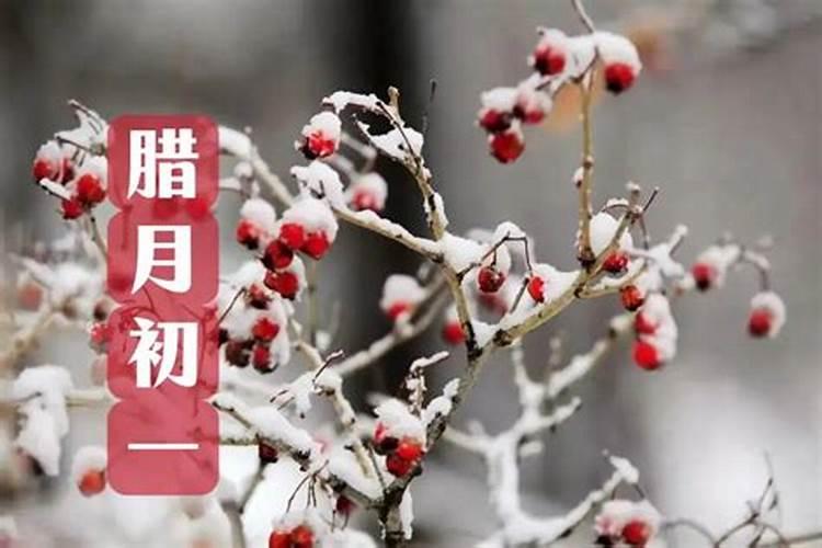 87年属兔的2021年感情运势怎么样