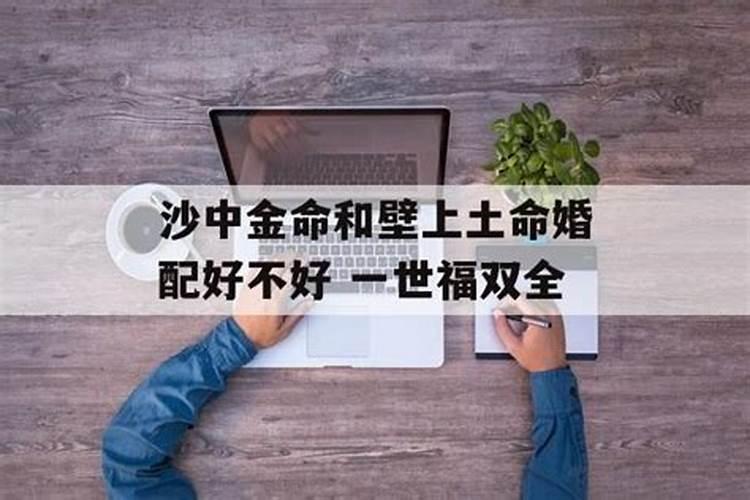 起名网生辰八字取名字