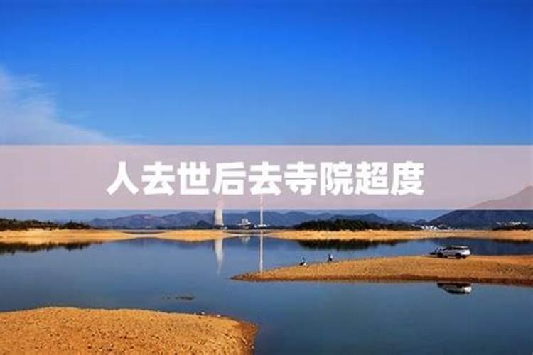 运气测试2022免费马