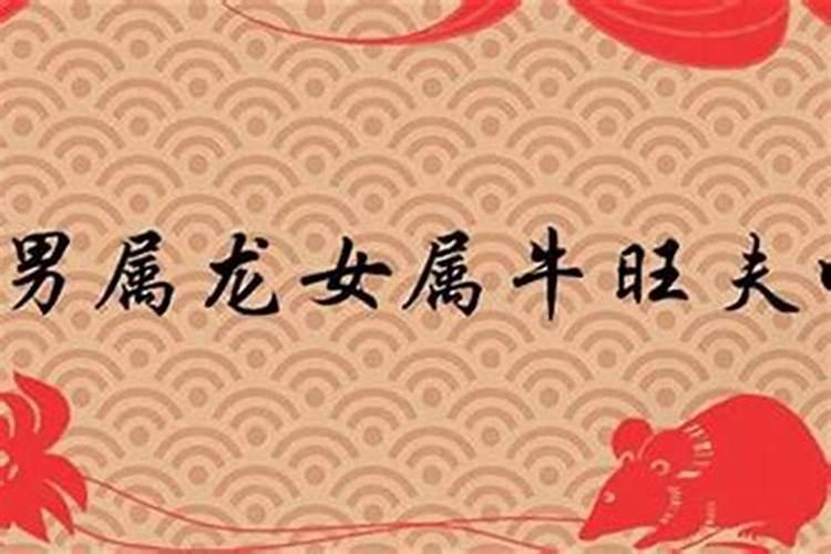 2020属猴佩戴什么吉祥物最好运呢