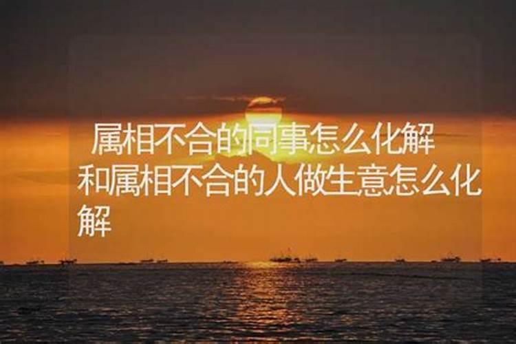 狗年属狗冲什么太岁好