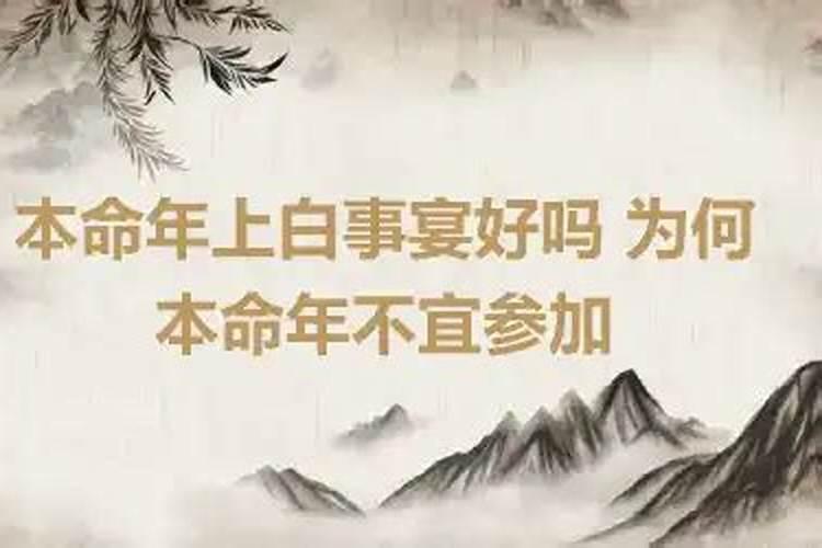 属兔什么月份有横财