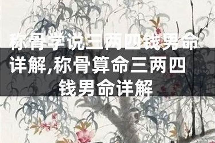 算命不求人称骨算命测算你几两命2~3点是什么时辰