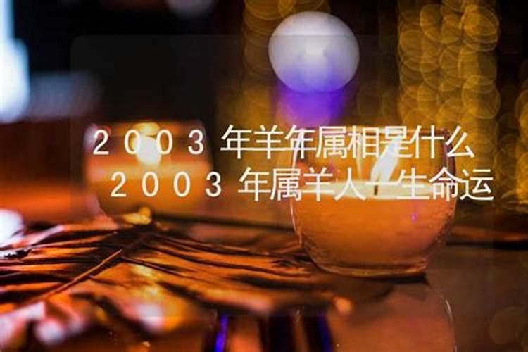 属鸡今年感情运势怎么样2023