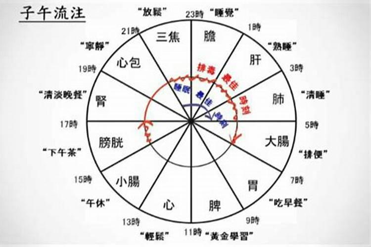 梦到下发洪水是什么征兆周公解梦梦见蛇