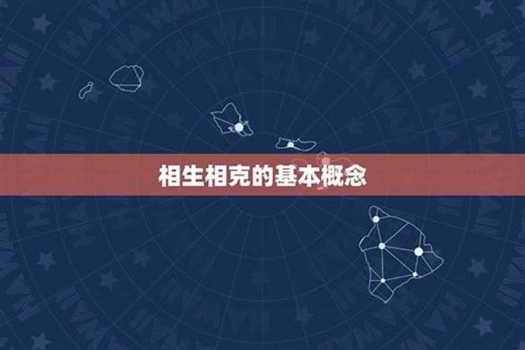 2023年属兔的五行是什么属性