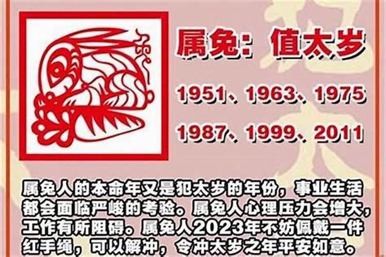 端午节南京哪里有龙舟活动