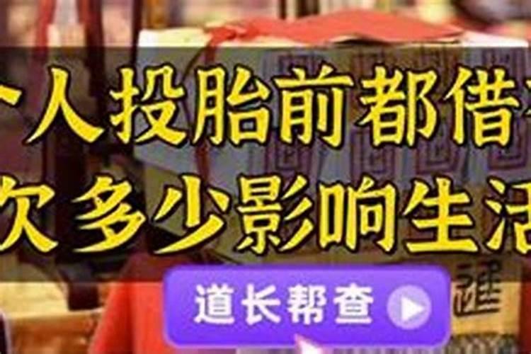 属鸡女适合做什么职业呢