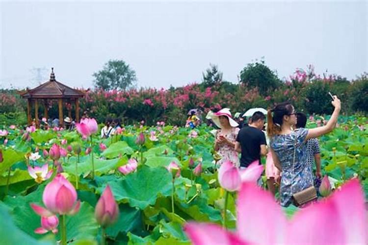 2月26日是元宵节的年份