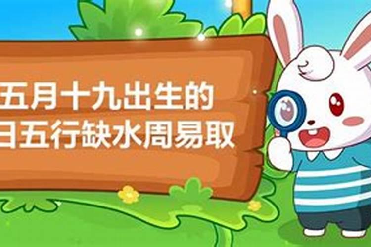 今年农历5月7号的男宝宝运势