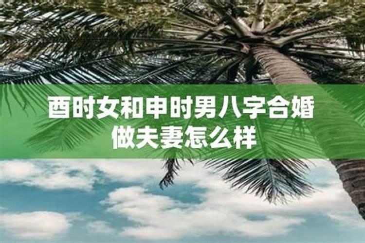 梦见活着的外婆死了又活了是什么意思