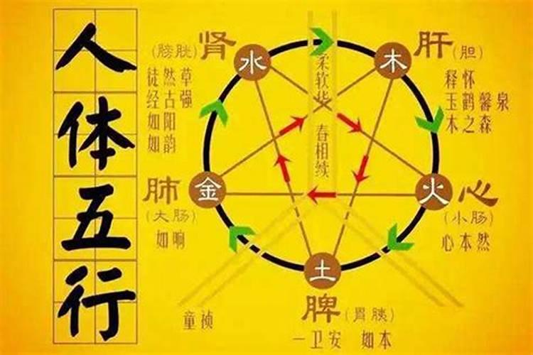 冬至与五运六气的关系