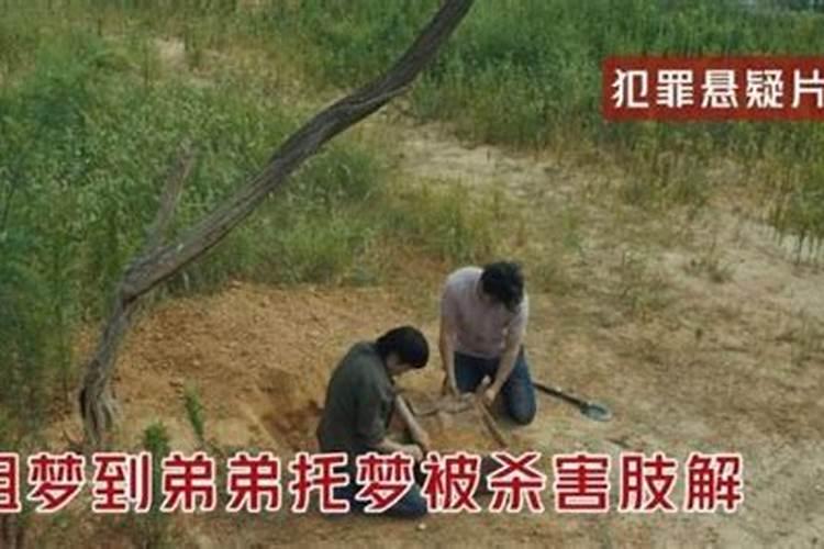 梦见弟弟犯罪被人抓