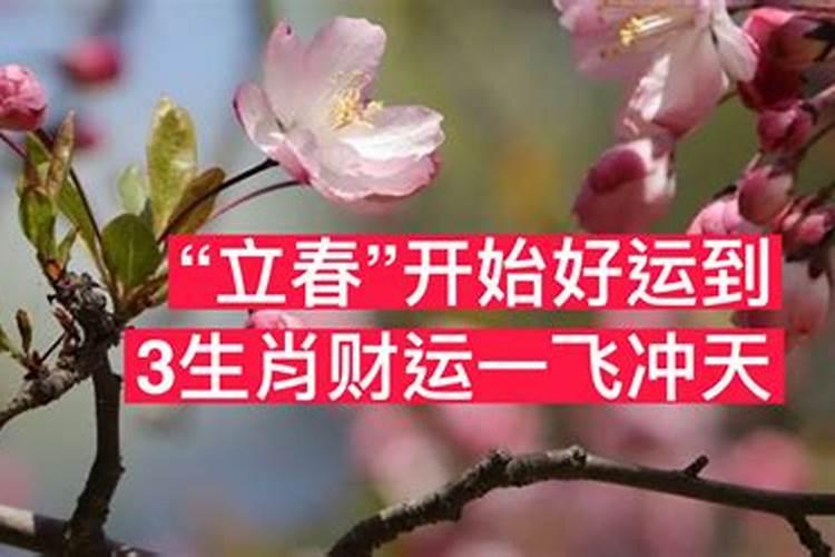 清明节上坟祭祀的顺序