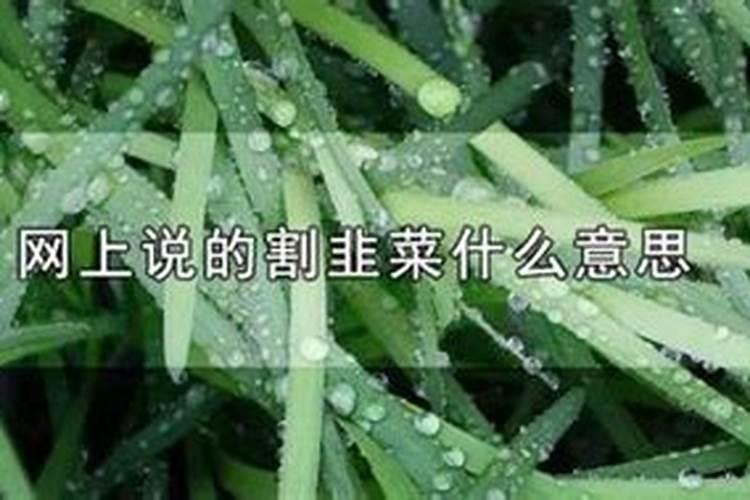 梦到买韭菜预示什么意思