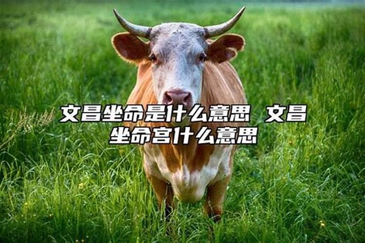 梦见和自己老板聊天他叫我买房子什么意思