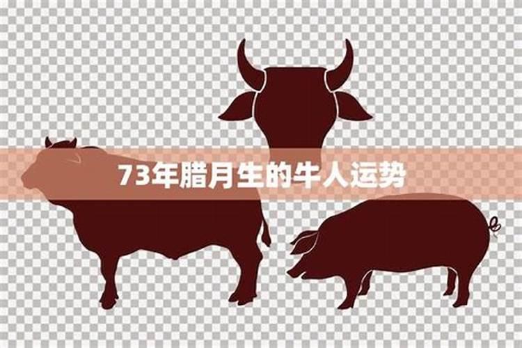 梦到吃蛇肉了什么意思周公解梦