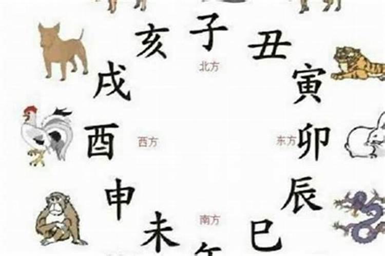 属虎与属鼠八字合吗