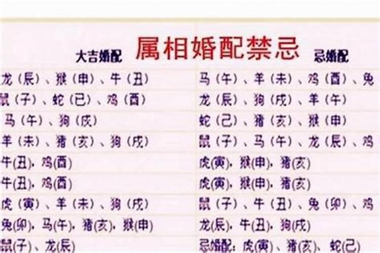 八字五行身体部位