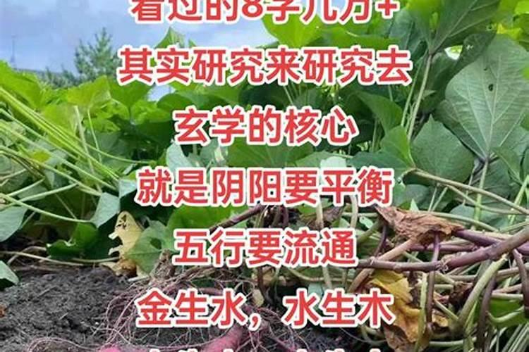 怎么从八字看属性强弱