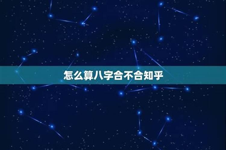 2023生肖羊全年运势大全