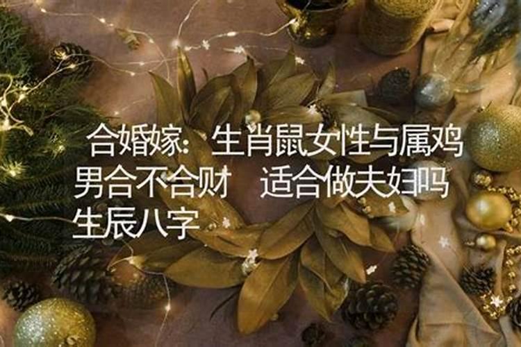 梦见自己老婆干活很快