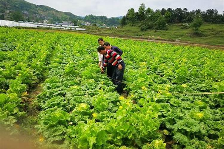 梦见死去的姥姥在哭泣什么意思