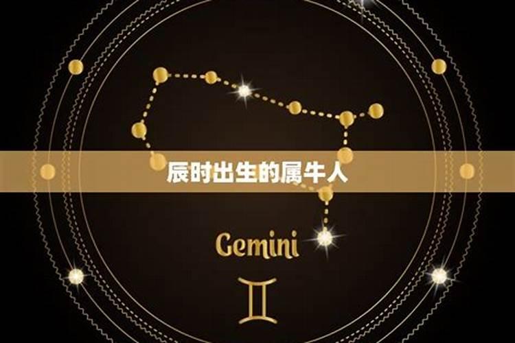 八字的星运什么意思