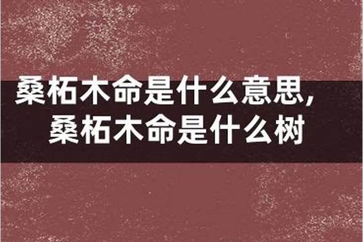 婚姻登记处婚前检查女性会检查什么