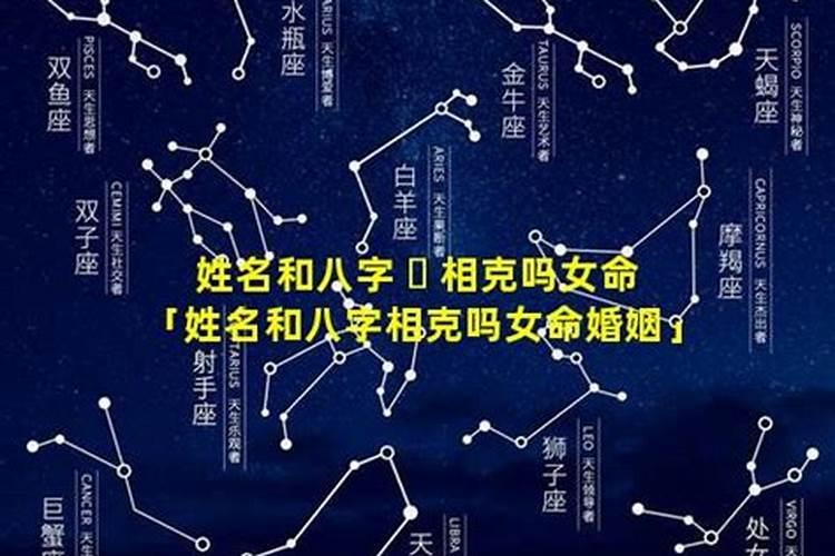 属猪男性2023年的运势怎么样呀