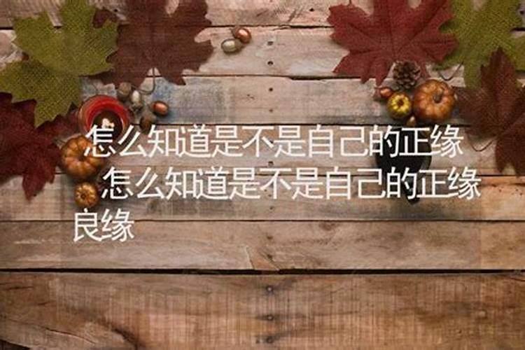 生肖婚姻顺不顺利怎么看