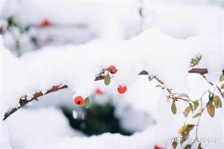 梦见前对象代表什么