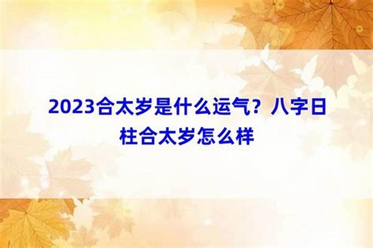 2021合太岁之年是什么意思