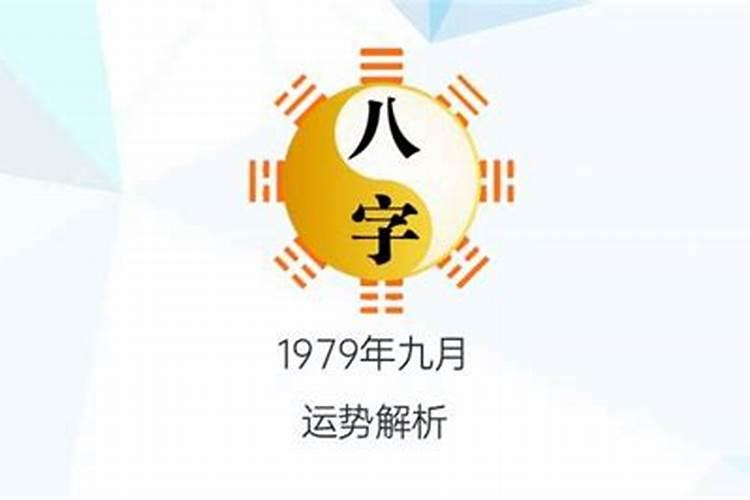 兔2023这个字的五行属什么的