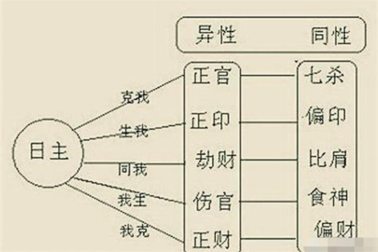 属蛇人的2020年的运势