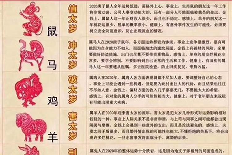 虎跟鼠合不合适婚配