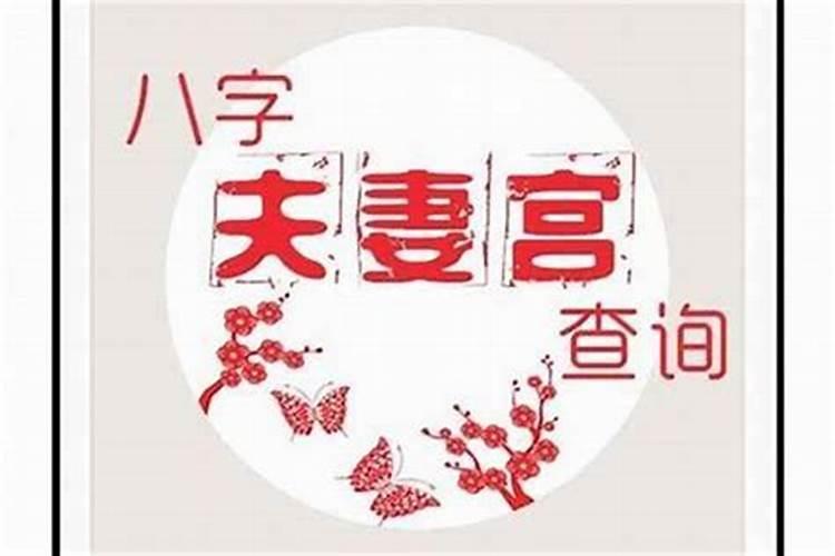 梦到老公的前女友来我家