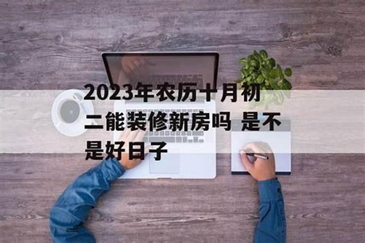 2022属羊运势和财运