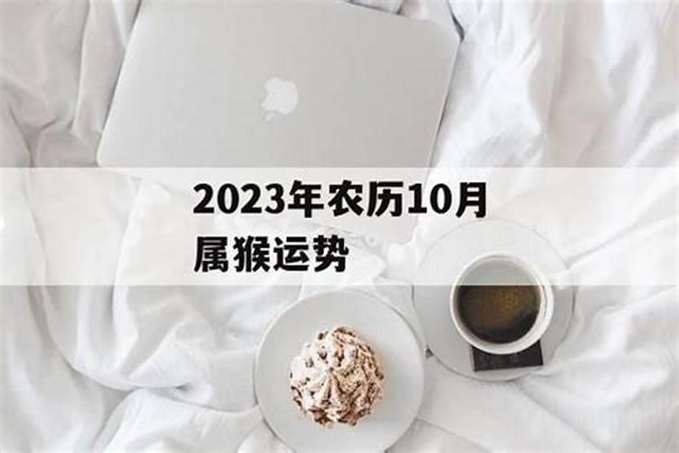 属鸡今年犯太岁吗2024年结婚好吗