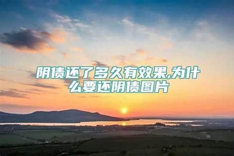 属猴11月份运势2020年