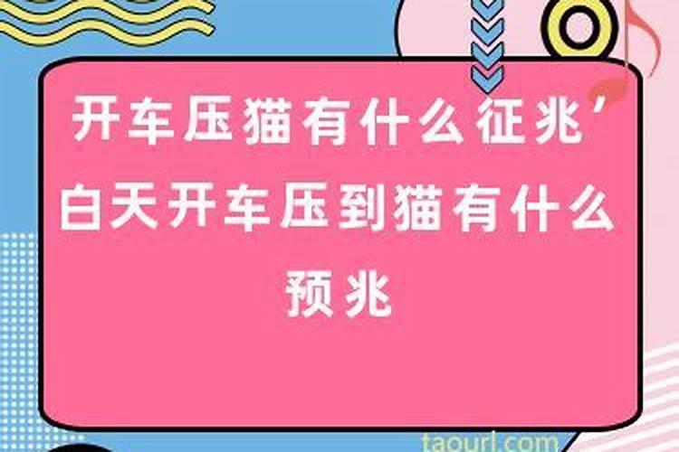 女鸡与男鼠相配吗婚姻如何