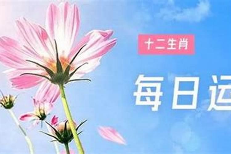 2021年3月11日特吉生肖运势