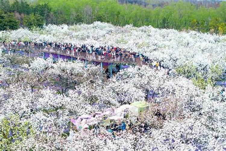 中秋节的来历幼儿